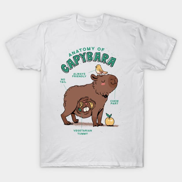 Capybara Anatomy Funny Kawaii T-Shirt by Sunburst Designs